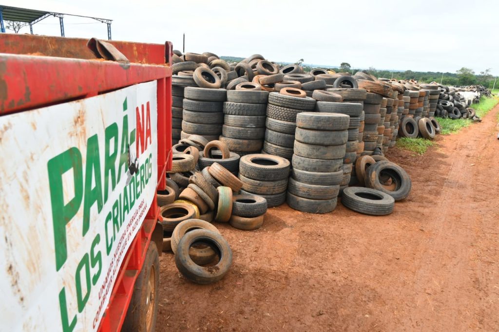 Gran cantidad de neumáticos viejos retirados durante la campaña.