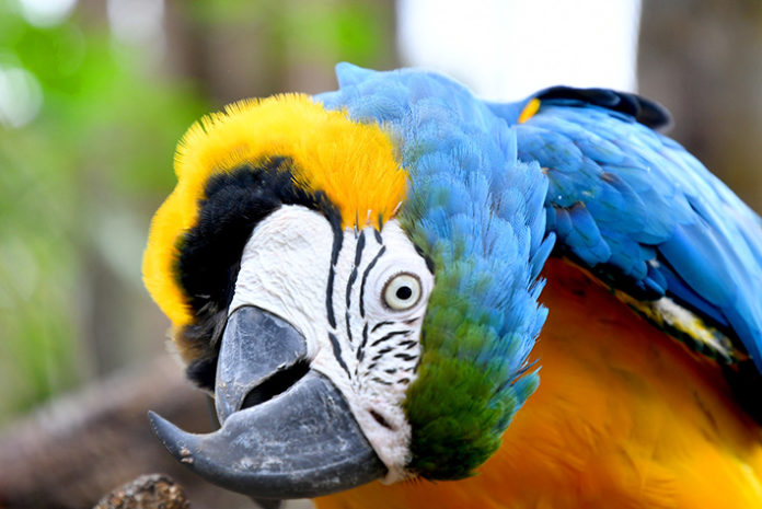 Los visitantes puedan venir y cambiar su mentalidad, que puedan conocer todo lo que hace ITAIPU en su zona de influencia, tanto en las áreas protegidas como en otras partes del país Los visitantes puedan venir y cambiar su mentalidad, que puedan conocer todo lo que hace ITAIPU en su zona de influencia, tanto en las áreas protegidas como en otras partes del país